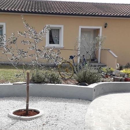 Apartment Andjel Poreč Exteriér fotografie