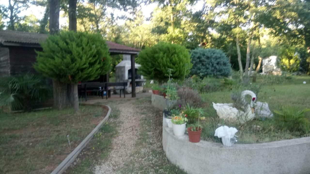 Apartment Andjel Poreč Exteriér fotografie